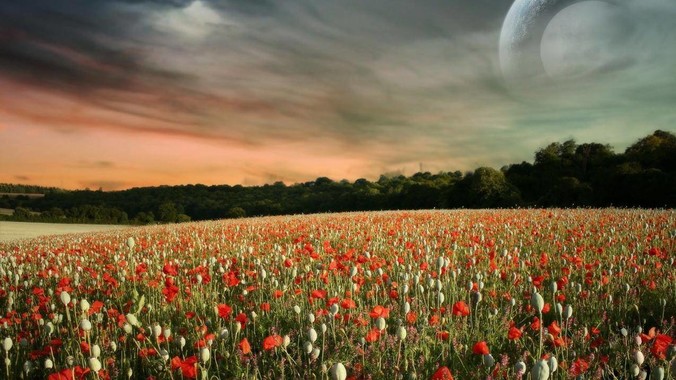 华为官宣鸿蒙 HarmonyOS 5.1 将于 7 月开启升级，对此你怎么看？会选择第一时间升级吗？